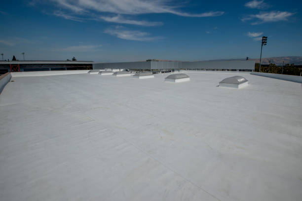 Best Slate Roofing  in New Buffalo, MI