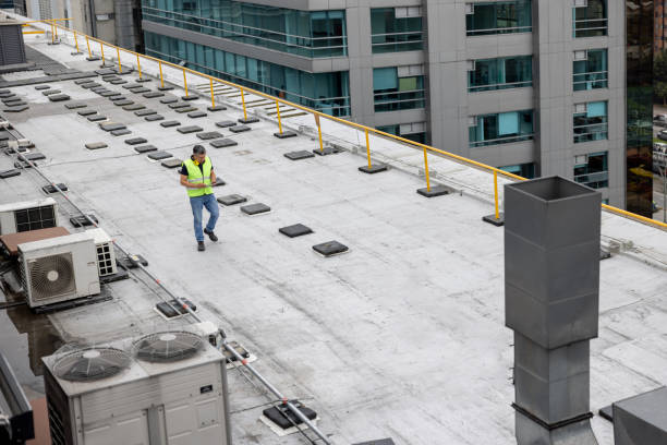 Best Roof Coating and Sealing  in New Buffalo, MI