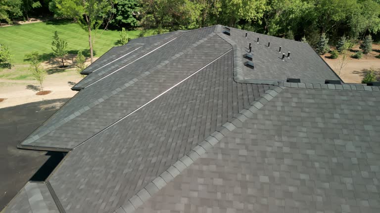 Best Green or Eco-Friendly Roofing Solutions  in New Buffalo, MI